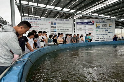 參訪口湖鄉台灣鯛生態園區